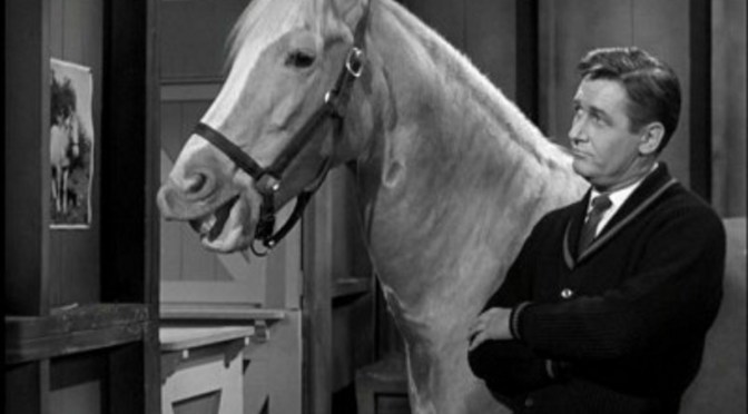 ‘Mister Ed’ (Season 1): Classic 60s sitcom still delivers the funny