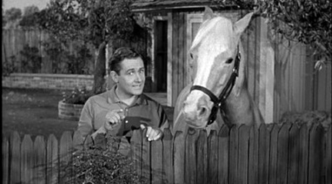 ‘Mister Ed’ (Season 2): Popular sitcom moves from syndication to CBS