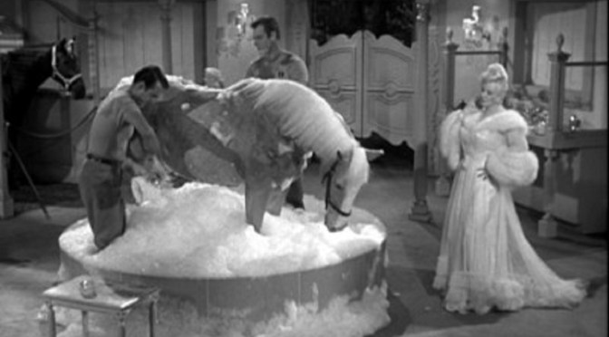 ‘Mister Ed’ (Season 4): Despite cast changes, sitcom returns to form in funny season